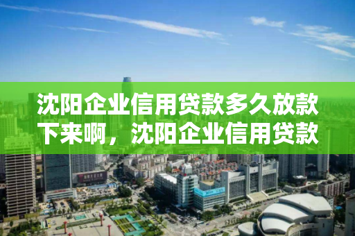 沈阳企业信用贷款多久放款下来啊，沈阳企业信用贷款多久放款下来啊
