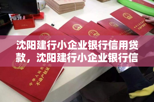 沈阳建行小企业银行信用贷款，沈阳建行小企业银行信用贷款利率