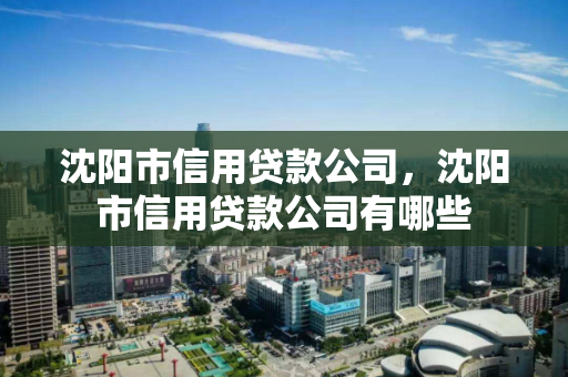 沈阳市信用贷款公司，沈阳市信用贷款公司有哪些