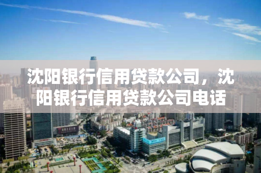 沈阳银行信用贷款公司，沈阳银行信用贷款公司电话