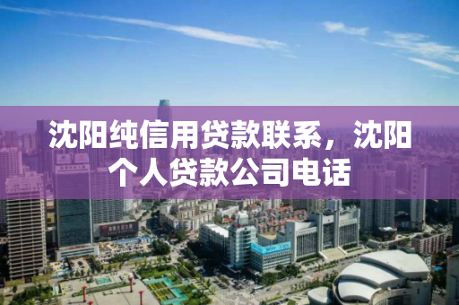 沈阳纯信用贷款联系，沈阳个人贷款公司电话