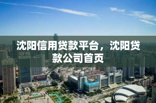 沈阳信用贷款平台,沈阳贷款公司首页 沈阳信用贷款平台,沈阳贷款公司首页