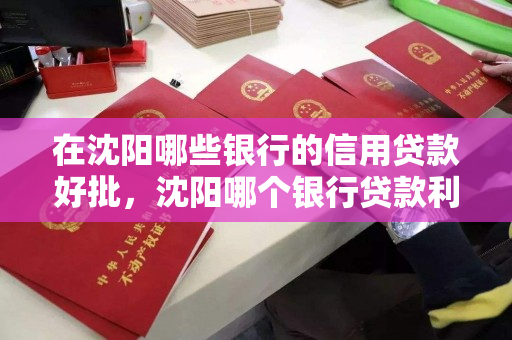 在沈阳哪些银行的信用贷款好批,沈阳哪个银行贷款利息低 在沈阳哪些银行的信用贷款好批,沈阳哪个银行贷款利息低