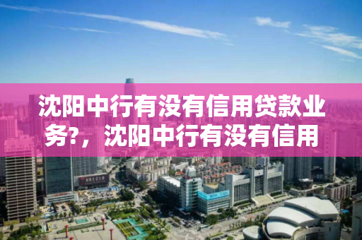 沈阳中行有没有信用贷款业务?,沈阳中行有没有信用贷款业务员 沈阳中行有没有信用贷款业务?,沈阳中行有没有信用贷款业务员