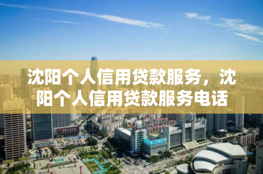 沈阳个人信用贷款服务，沈阳个人信用贷款服务电话