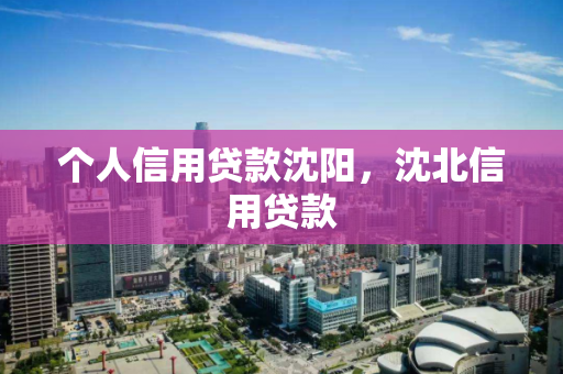 个人信用贷款沈阳，沈北信用贷款