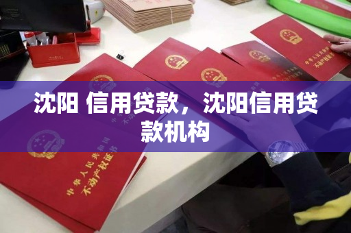 沈阳 信用贷款,沈阳信用贷款机构 沈阳 信用贷款,沈阳信用贷款机构