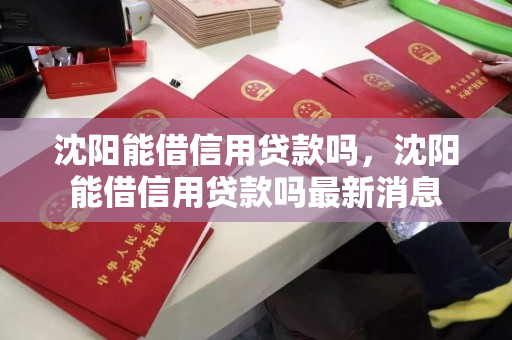 沈阳能借信用贷款吗,沈阳能借信用贷款吗最新消息 沈阳能借信用贷款吗,沈阳能借信用贷款吗最新消息