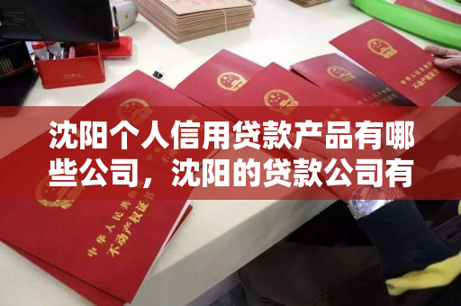 沈阳个人信用贷款产品有哪些公司,沈阳的贷款公司有哪些 沈阳个人信用贷款产品有哪些公司,沈阳的贷款公司有哪些