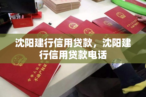沈阳建行信用贷款,沈阳建行信用贷款电话 沈阳建行信用贷款,沈阳建行信用贷款电话