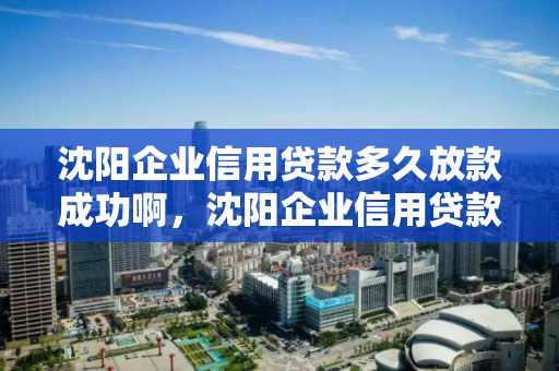 沈阳企业信用贷款多久放款成功啊,沈阳企业信用贷款多久放款成功啊 沈阳企业信用贷款多久放款成功啊,沈阳企业信用贷款多久放款成功啊