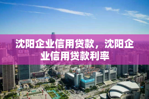 沈阳企业信用贷款,沈阳企业信用贷款利率 沈阳企业信用贷款,沈阳企业信用贷款利率
