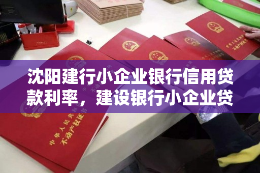 沈阳建行小企业银行信用贷款利率，建设银行小企业贷款利率