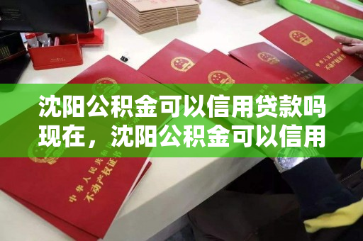沈阳公积金可以信用贷款吗现在，沈阳公积金可以信用贷款吗现在多少钱