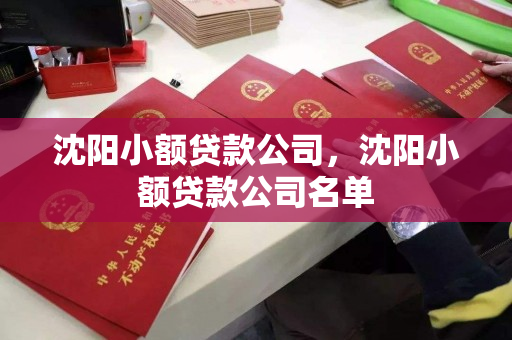 沈阳小额贷款公司,沈阳小额贷款公司名单 沈阳小额贷款公司,沈阳小额贷款公司名单