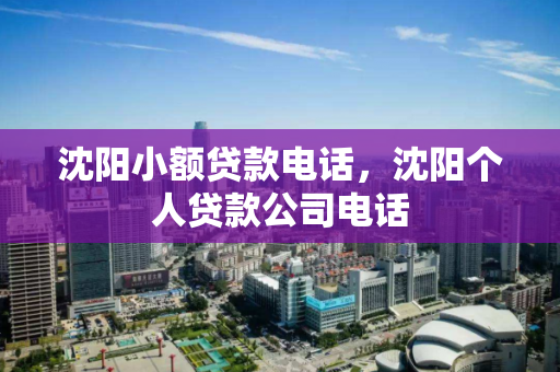 沈阳小额贷款电话,沈阳个人贷款公司电话 沈阳小额贷款电话,沈阳个人贷款公司电话