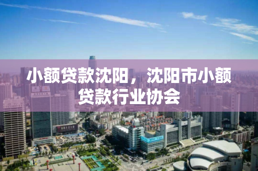 小额贷款沈阳，沈阳市小额贷款行业协会