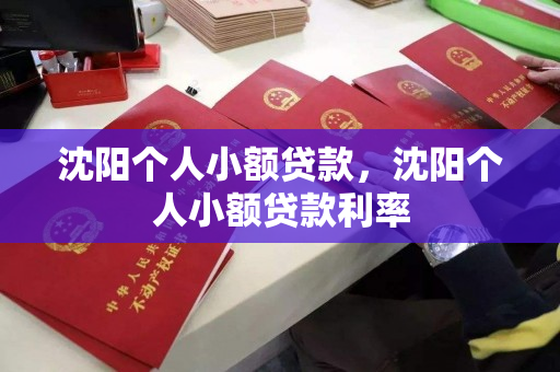 沈阳个人小额贷款,沈阳个人小额贷款利率 沈阳个人小额贷款,沈阳个人小额贷款利率