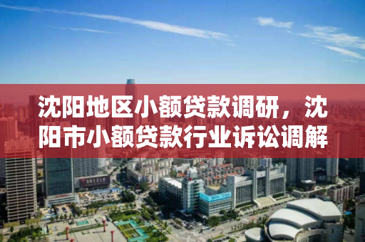 沈阳地区小额贷款调研,沈阳市小额贷款行业诉讼调解中心 沈阳地区小额贷款调研,沈阳市小额贷款行业诉讼调解中心