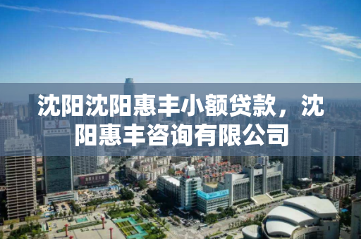 沈阳沈阳惠丰小额贷款，沈阳惠丰咨询有限公司