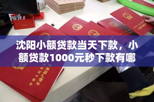 沈阳小额贷款当天下款,小额贷款1000元秒下款有哪些 沈阳小额贷款当天下款,小额贷款1000元秒下款有哪些