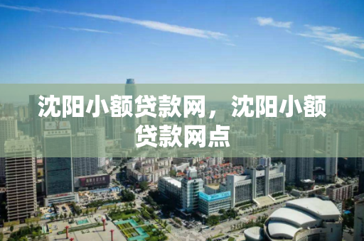 沈阳小额贷款网，沈阳小额贷款网点