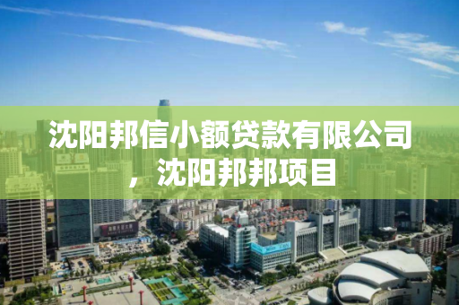 沈阳邦信小额贷款有限公司,沈阳邦邦项目 沈阳邦信小额贷款有限公司,沈阳邦邦项目