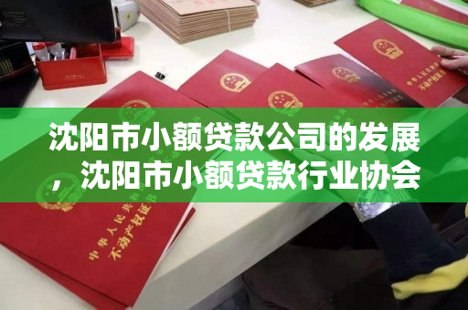 沈阳市小额贷款公司的发展，沈阳市小额贷款行业协会