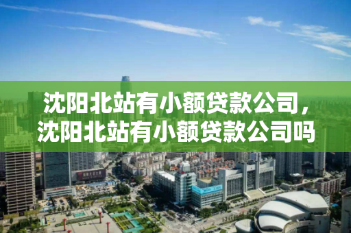 沈阳北站有小额贷款公司,沈阳北站有小额贷款公司吗在哪 沈阳北站有小额贷款公司,沈阳北站有小额贷款公司吗在哪