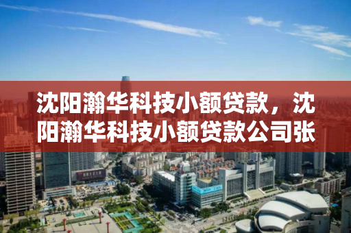 沈阳瀚华科技小额贷款,沈阳瀚华科技小额贷款公司张国祥 沈阳瀚华科技小额贷款,沈阳瀚华科技小额贷款公司张国祥