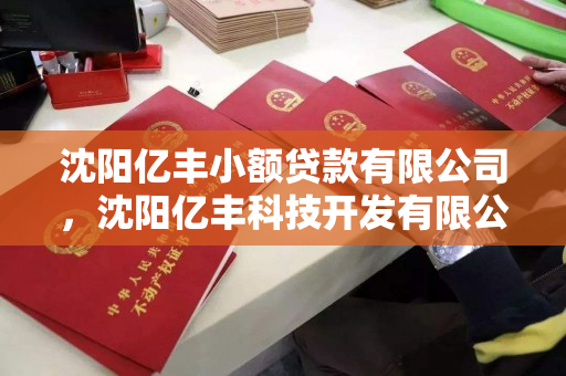 沈阳亿丰小额贷款有限公司,沈阳亿丰科技开发有限公司 沈阳亿丰小额贷款有限公司,沈阳亿丰科技开发有限公司