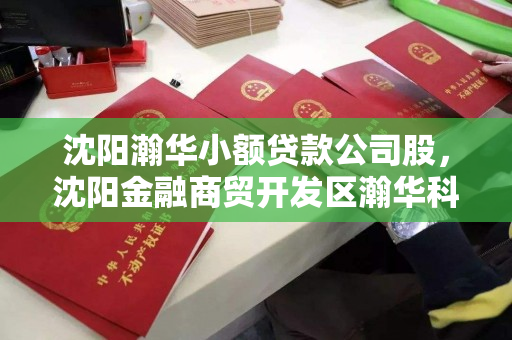 沈阳瀚华小额贷款公司股,沈阳金融商贸开发区瀚华科技小额贷款有限公司 沈阳瀚华小额贷款公司股,沈阳金融商贸开发区瀚华科技小额贷款有限公司