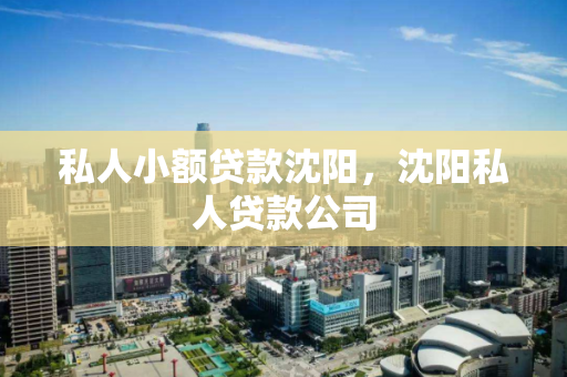 私人小额贷款沈阳,沈阳私人贷款公司 私人小额贷款沈阳,沈阳私人贷款公司