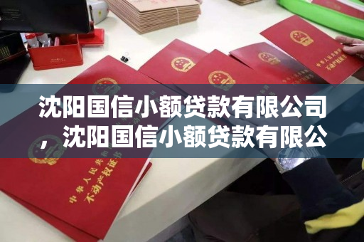 沈阳国信小额贷款有限公司，沈阳国信小额贷款有限公司怎么样