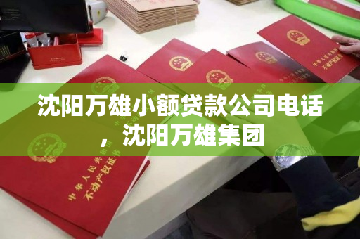 沈阳万雄小额贷款公司电话，沈阳万雄集团