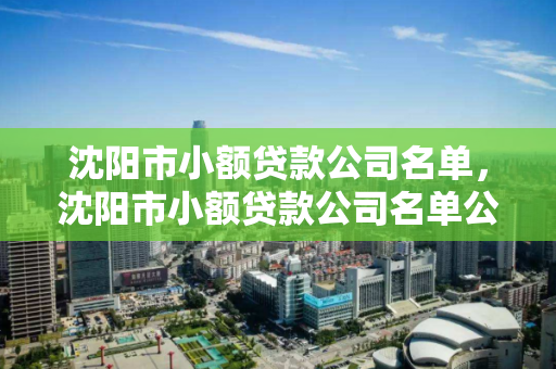 沈阳市小额贷款公司名单，沈阳市小额贷款公司名单公示