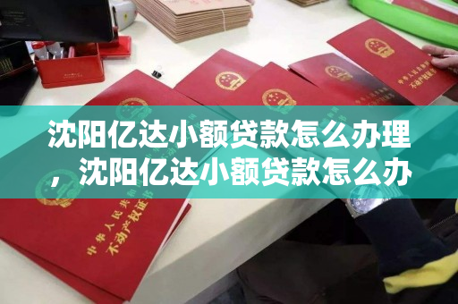 沈阳亿达小额贷款怎么办理，沈阳亿达小额贷款怎么办理的
