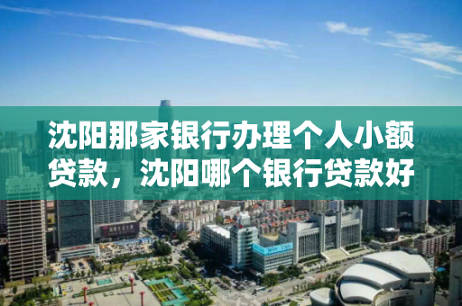 沈阳那家银行办理个人小额贷款，沈阳哪个银行贷款好贷