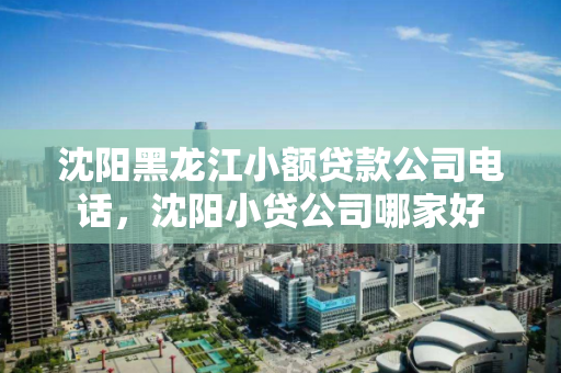 沈阳黑龙江小额贷款公司电话，沈阳小贷公司哪家好