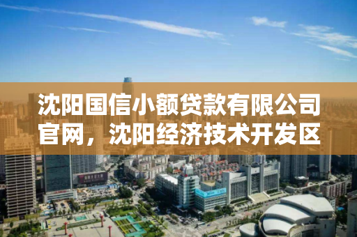 沈阳国信小额贷款有限公司官网,沈阳经济技术开发区国信小额贷款有限责任公司 沈阳国信小额贷款有限公司官网,沈阳经济技术开发区国信小额贷款有限责任公司