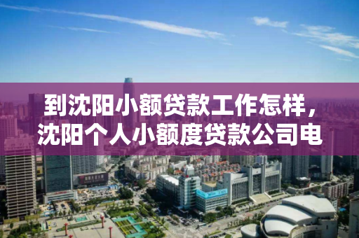 到沈阳小额贷款工作怎样,沈阳个人小额度贷款公司电话 到沈阳小额贷款工作怎样,沈阳个人小额度贷款公司电话