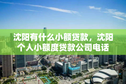 沈阳有什么小额贷款，沈阳个人小额度贷款公司电话