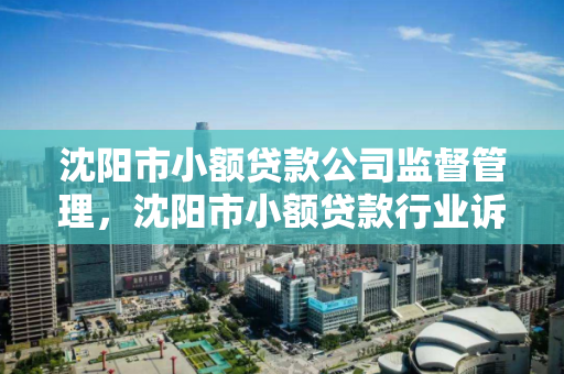 沈阳市小额贷款公司监督管理，沈阳市小额贷款行业诉讼调解中心