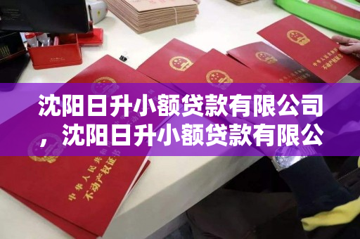 沈阳日升小额贷款有限公司，沈阳日升小额贷款有限公司怎么样