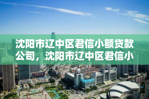 沈阳市辽中区君信小额贷款公司,沈阳市辽中区君信小额贷款公司地址 沈阳市辽中区君信小额贷款公司,沈阳市辽中区君信小额贷款公司地址