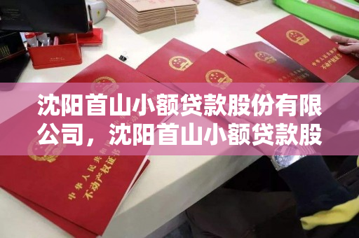 沈阳首山小额贷款股份有限公司,沈阳首山小额贷款股份有限公司怎么样 沈阳首山小额贷款股份有限公司,沈阳首山小额贷款股份有限公司怎么样