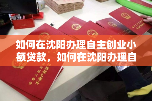 如何在沈阳办理自主创业小额贷款，如何在沈阳办理自主创业小额贷款申请