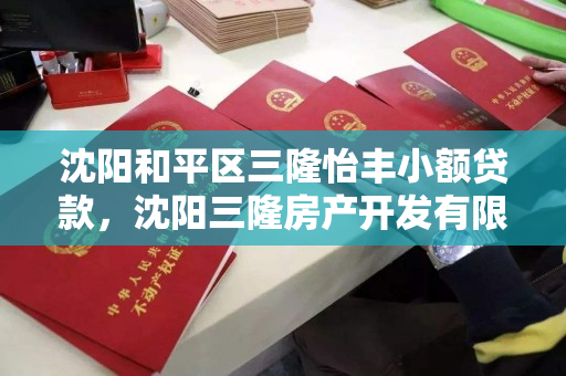 沈阳和平区三隆怡丰小额贷款,沈阳三隆房产开发有限公司 沈阳和平区三隆怡丰小额贷款,沈阳三隆房产开发有限公司