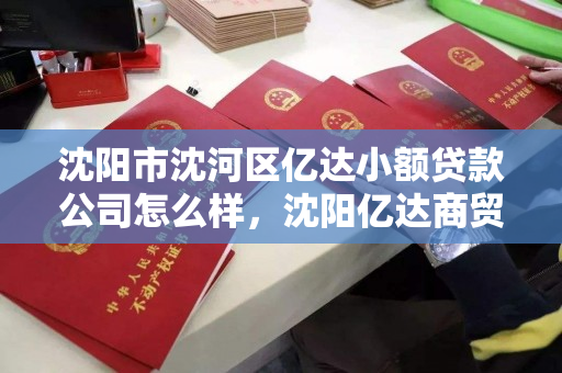 沈阳市沈河区亿达小额贷款公司怎么样,沈阳亿达商贸有限公司 沈阳市沈河区亿达小额贷款公司怎么样,沈阳亿达商贸有限公司
