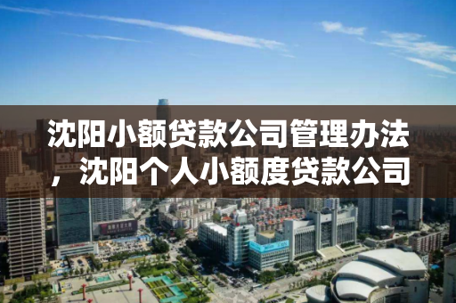 沈阳小额贷款公司管理办法,沈阳个人小额度贷款公司电话 沈阳小额贷款公司管理办法,沈阳个人小额度贷款公司电话